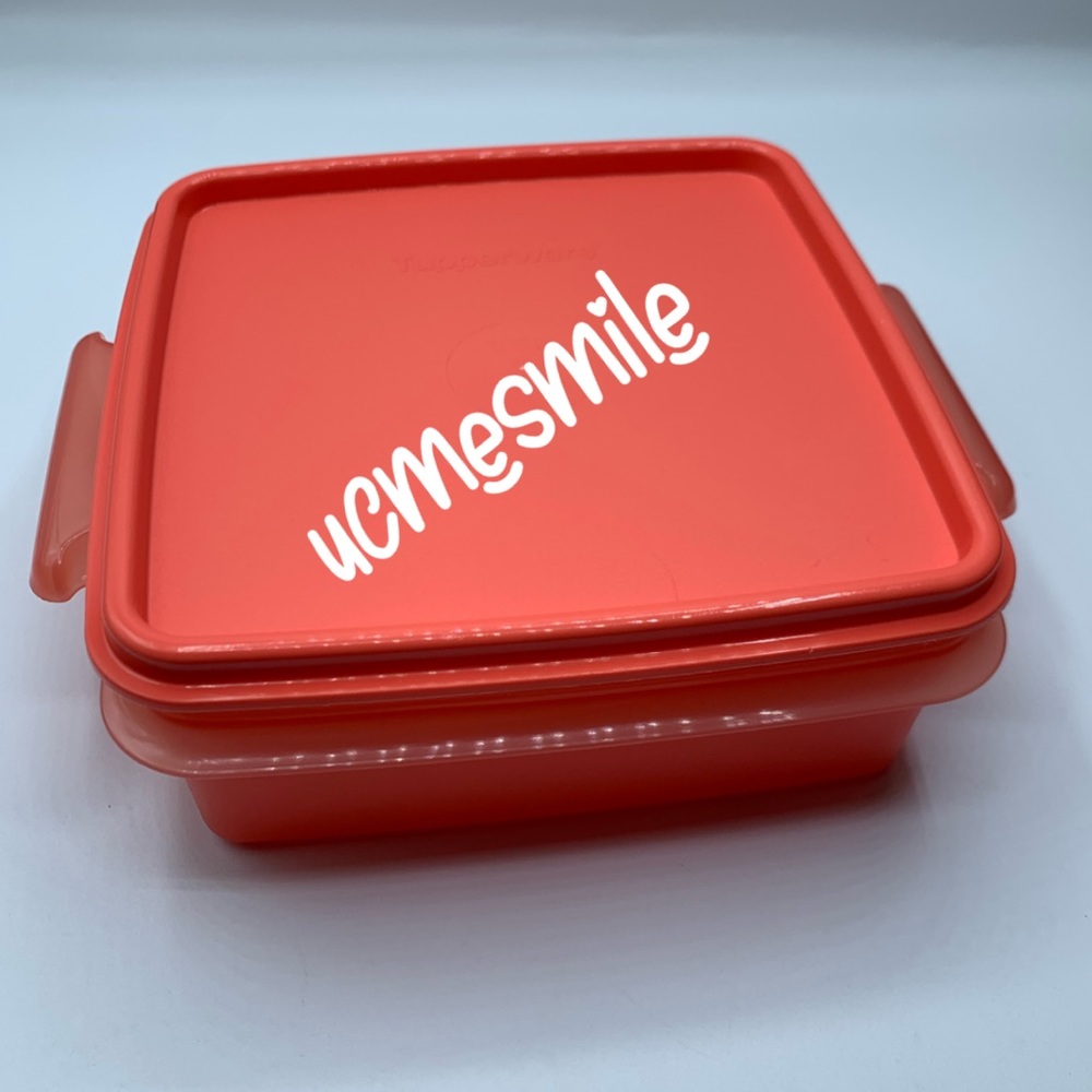 Tupperware Square Away Goody Box Container
